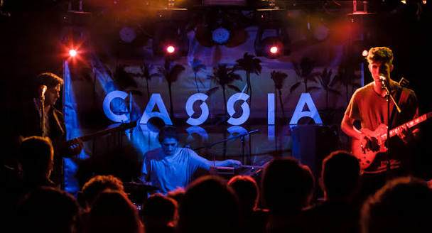Cassia editorial card