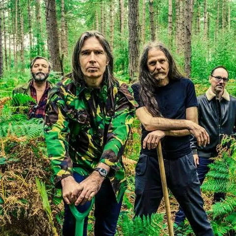 Del Amitri artist page
